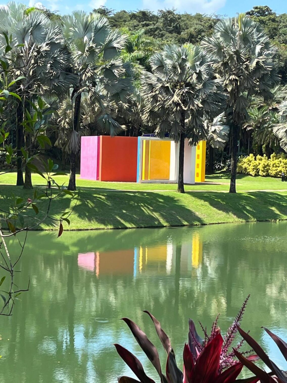 Inhotim 20 anos: um repertório vivo para o design, arquitetura, natureza e cultura