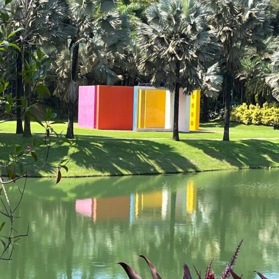 Inhotim 20 anos: um repertório vivo para o design, arquitetura, natureza e cultura