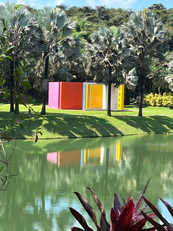Inhotim 20 anos: um repertório vivo para o design, arquitetura, natureza e cultura
